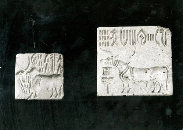 Two decorated seals depicting a zebu and a bull, from Mohenjodaro, Protohistoric