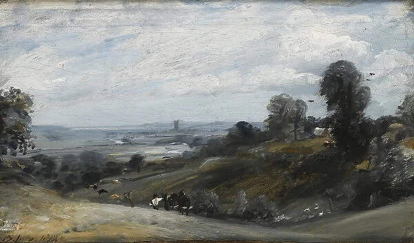 Dedham Vale from Langham, 19th century (oil on canvas)