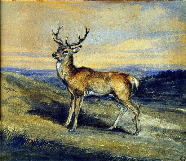 The deer. Painting by Antoine Louis Barye (1795-1875), 19th century
