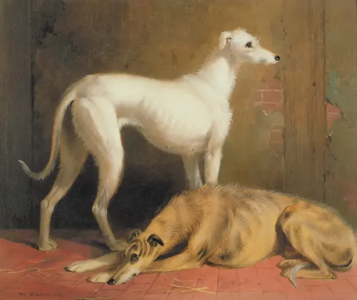 Framed Print : Deerhounds in an Interior