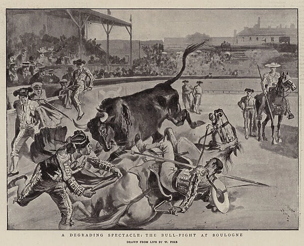 A Degrading Spectacle, the Bull-Fight at Boulogne (litho)