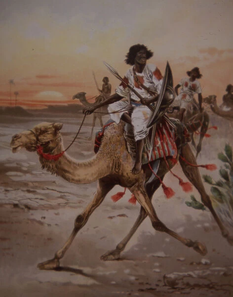 A Dervish warrior on a camel, c. 1900 (colour litho)