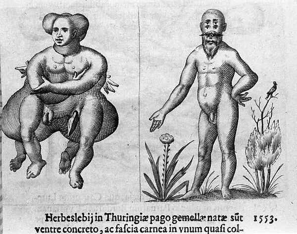 Different types of human monsters. Engraving from 'De monstrorum natura