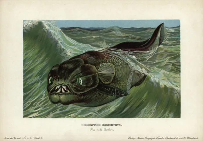 Framed Print : Dinichthys, kind of placoderms, Devonian shielded fish. Chromolithography of F. John (series prehistoric animals of the Reichardt Cocoa Company), originally published in Animals of the Prehistoric World, 1910, Hamburg (Germany) Framed Print : Dinichthys, kind of placoderms, Devonian shielded fish. Chromolithography of F. John (series prehistoric animals of the Reichardt Cocoa Company), originally published in Animals of the Prehistoric World, 1910, Hamburg (Germany)
