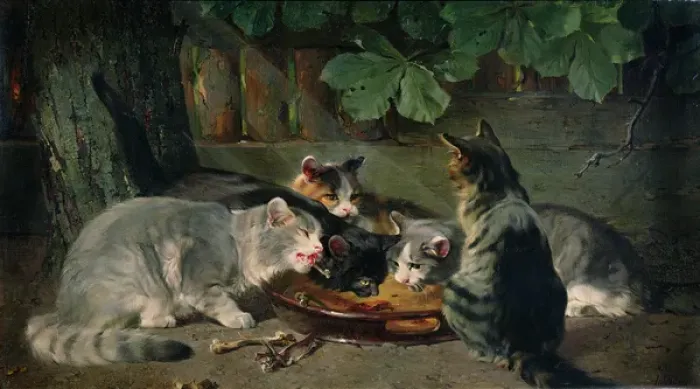 Framed Print : Dinner Time Framed Print : Dinner Time