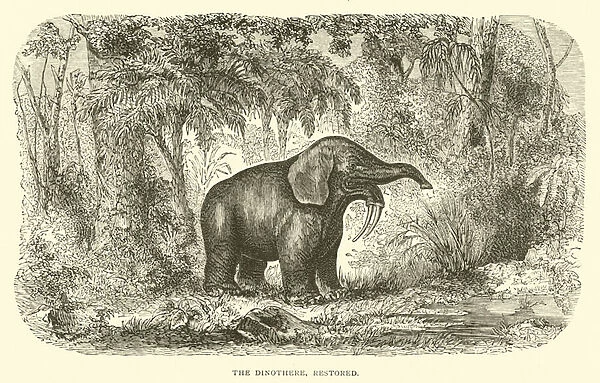The Dinothere, restored (engraving)