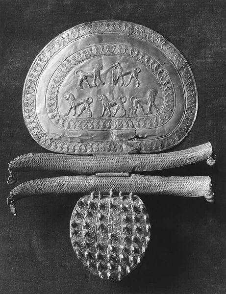 Disc fibula, from Rigolini Galassi tomb at Cerveteri, c. mid 7th century BC (gold) (b  /  w photo)