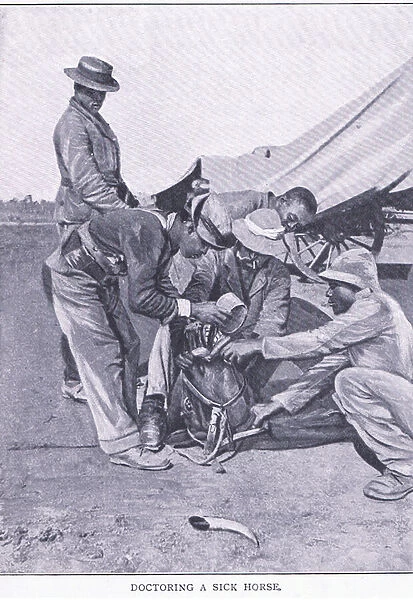 Doctoring a sick horse, from After Pretoria: The Guerilla War published by Harmsworth