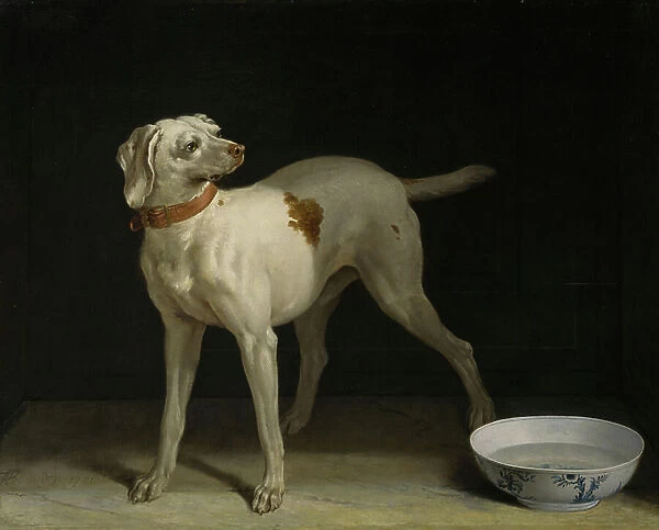 Dog, 1751 (oil on canvas)