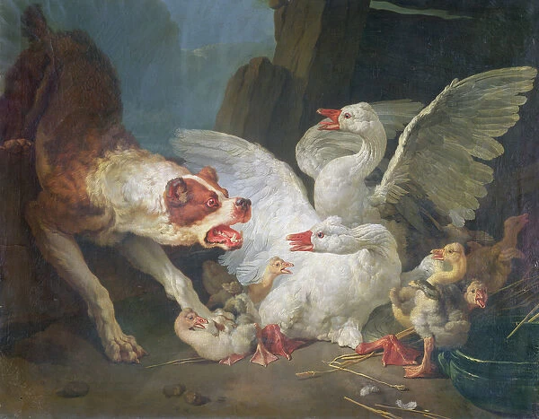 A Dog Attacking Geese, 1769 (oil on canvas)