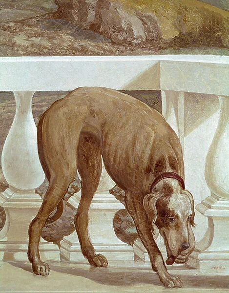 Dog on a balcony, detail, circa 1561 (Fresco)