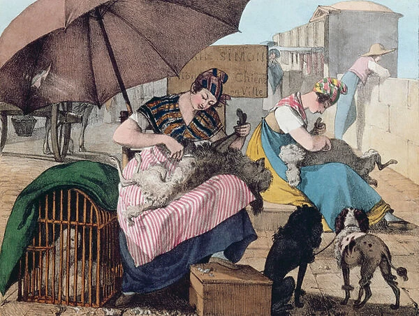 Dog Clippers on the Pont-Neuf, 1820 (colour litho)