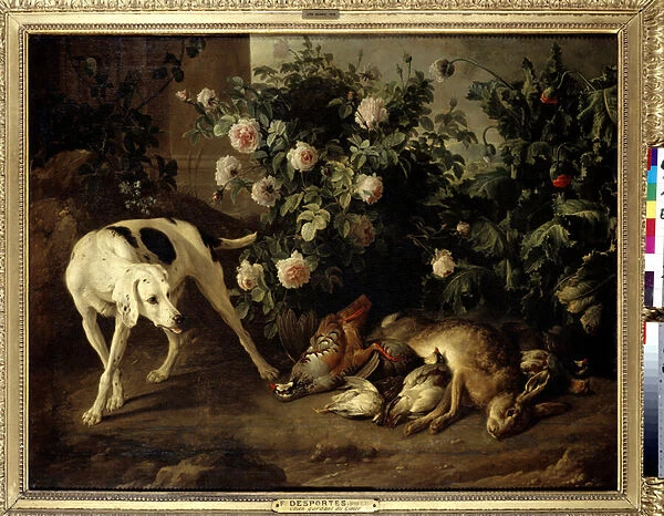 Dog keeping game near a bush of roses Painting by Francois Desportes (1661-1743) 1724 Sun