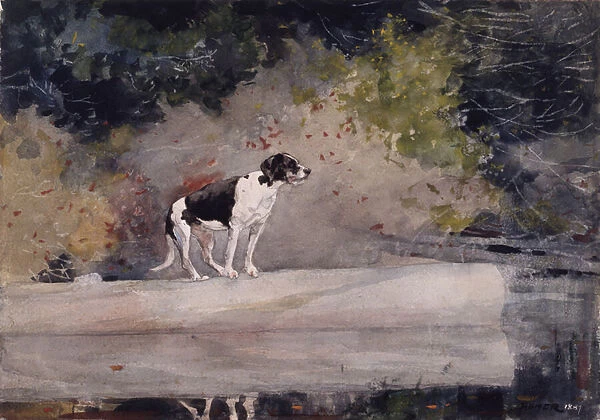 Dog on a Log, 1889 (w  /  c & graphite on wove paper)