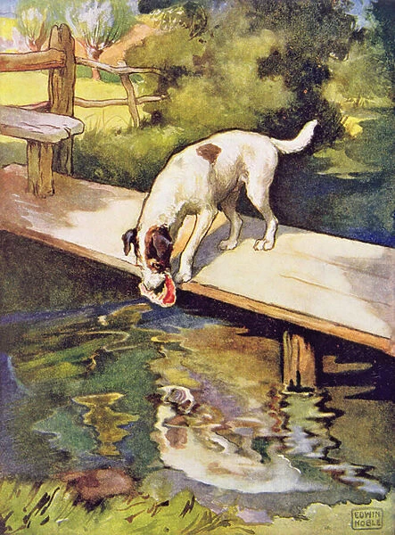 The Dog and the Shadow from Aesops Fables, pub. by Raphael Tuck & Sons Ltd. London (book illustration)