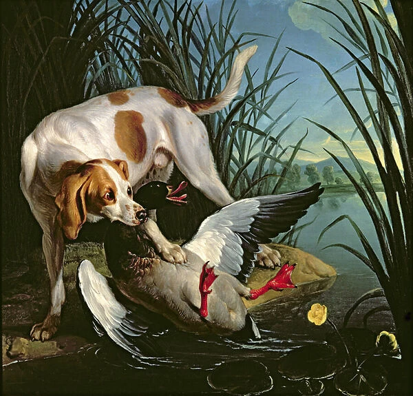 Dog with a wild duck (oil on canvas)