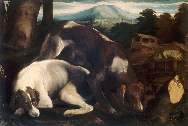 Two dogs. 3567524 Two dogs by Bassano, Jacopo 