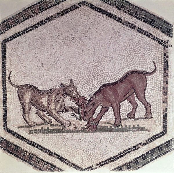 Dogs Fighting for a Bird, Roman, 2nd-3rd century (mosaic)