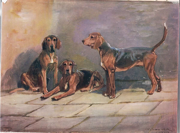 Dogs, illustration from Hounds (colour litho)