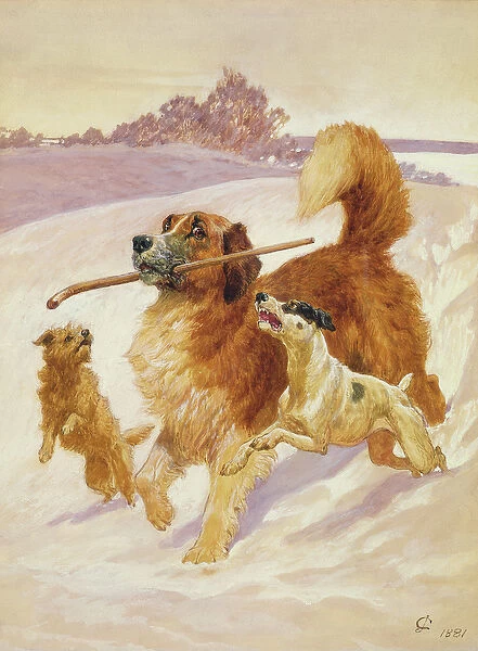 Three dogs playing in the snow, 1881