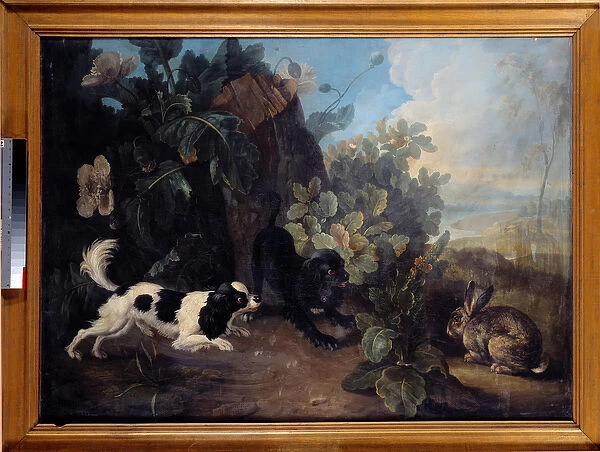 Two Dogs and a Rabbit Painting by Nicolas Desportes dit le Nepheu (1718-1787) 1757 Sun