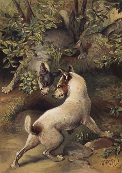 Two dogs trying to reach a pool of water to drink (chromolitho)