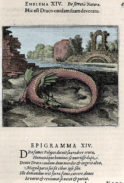 A dragon beating his tail (or Ouroburo (?)). Plate taken from the trek of alchemy '
