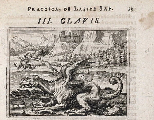 Un dragon, a l arriere plan, un loup voleur de poule, attaque par un coq - Gravure de Theodore de Bry (1528-1598), pour le traite d alchimie 'Tripus avreus, hoc est