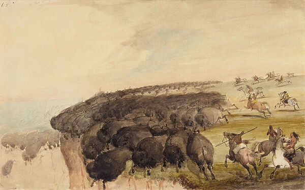 Driving Herds of Buffalo over a Precipice, c. 1837 (pencil, pen and ink and w  /  c on paper)