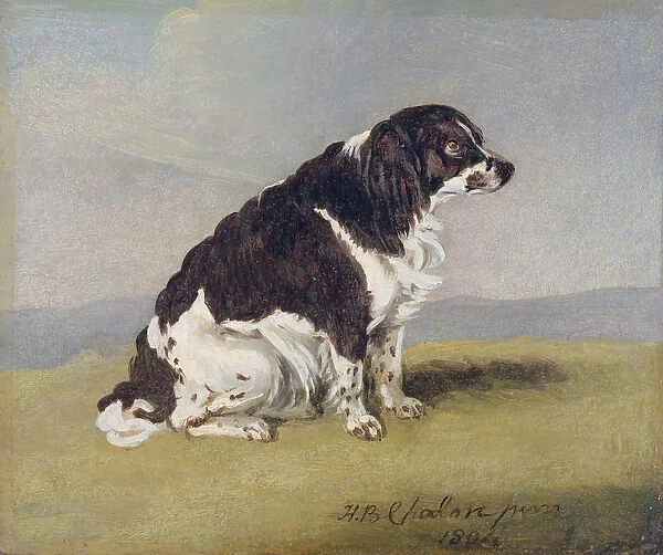 The Duchess of Yorks Spaniel, 1804 (oil on millboard)