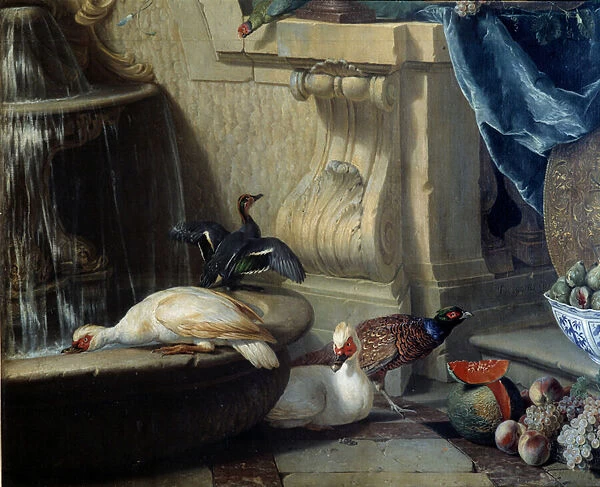 Ducks, pheasant, fruit near a fountain Detail. painting by Francois Desportes (1661-1743