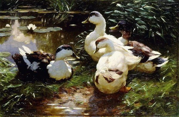 Ducks on a Riverbank, (oil on canvas)