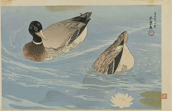 Ducks, Taisho era, August 1920 (colour woodblock print)