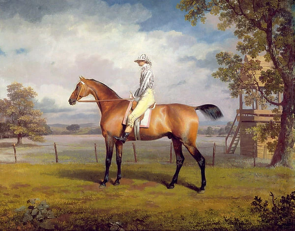 The Duke of Hamiltons Disguise with Jockey Up (oil on canvas)
