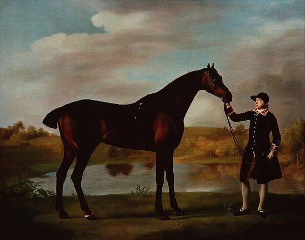 The Duke of Malboroughs Bay Hunter with a Groom (oil on canvas)