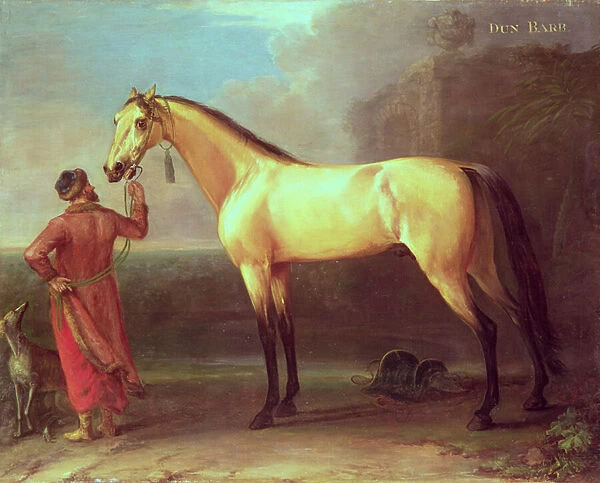 Dun Barb (Horse and Arabian Groom)