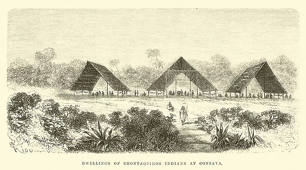 Dwellings of Chontaquiros Indians at Consaya (engraving)