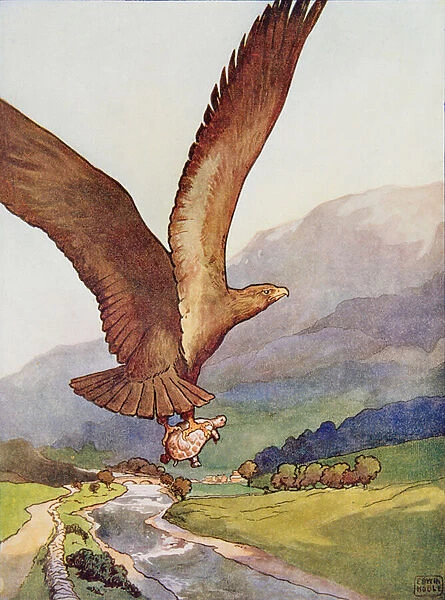The Eagle and the Tortoise from Aesops Fables, pub. by Raphael Tuck & Sons Ltd. London (book illustration)
