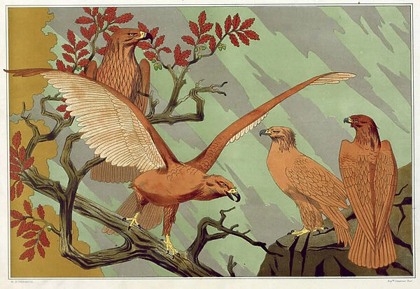 Eagles, from L Animal dans la Decoration by Maurice Pillard Verneuil, pub. 1897 (colour lithograph)