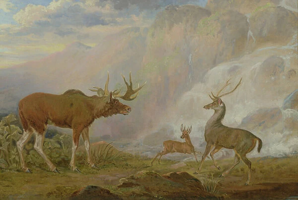 Earl of Orfords Elk, Antelope and Stag (oil on canvas)