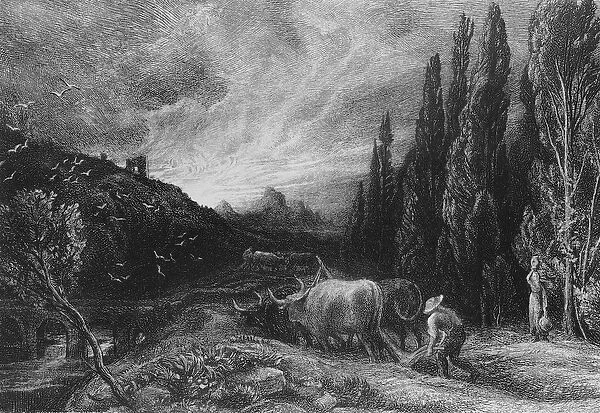 The Early Ploughman, 1861  /  79 (etching) (b  /  w photo)