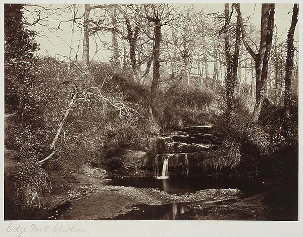 Edge Park, Cheshire, c.1865 (albumen print from glass negative)