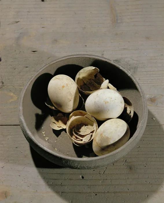 Framed Print : Eggs, conserved under the ashes of the eruption Framed Print : Eggs, conserved under the ashes of the eruption