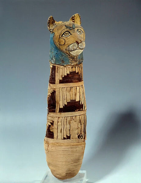 Egyptian antiquite: cat mummy with his head covered with a painted body mask
