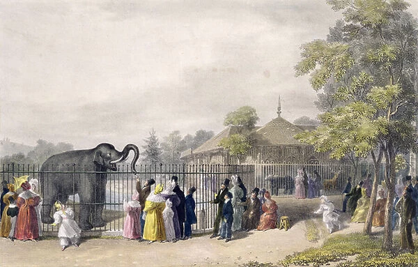The Elephant House at the Zoological Gardens, Regents Park, engraved and pub