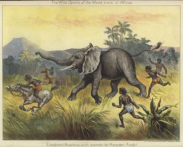 Elephant hunting with swords by Hamran Arabs (colour litho)