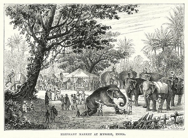 Elephant market at Mysore, India (engraving)