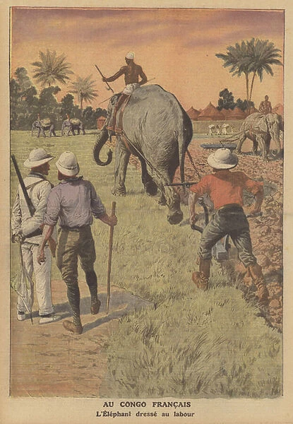 An elephant pulling a plough in the French Congo (colour litho)