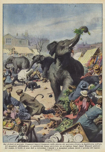 Three elephants at the market (colour litho)