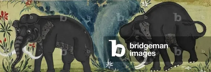 Framed Print : Two elephants by a river Framed Print : Two elephants by a river